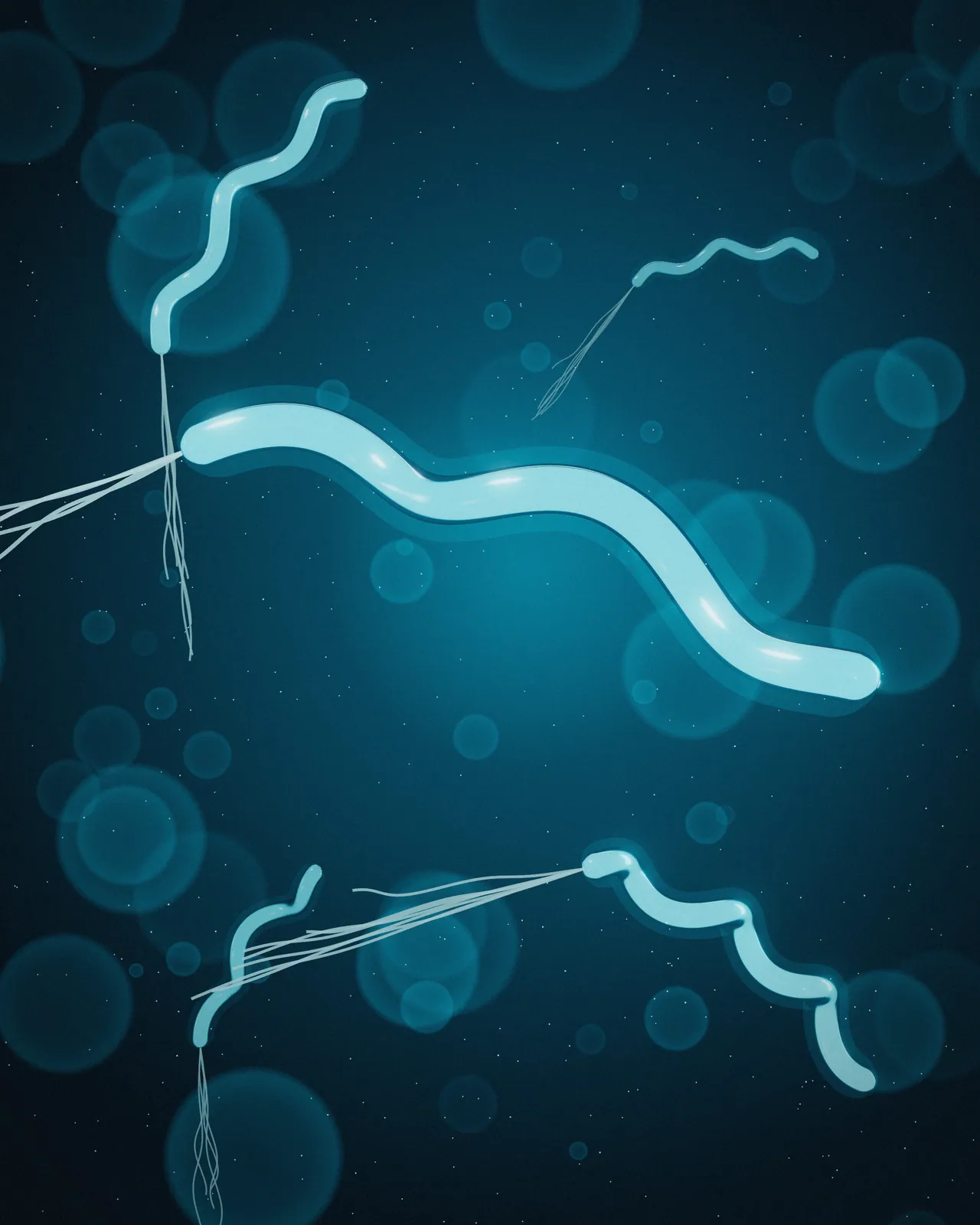 Bacterias helicoidales con flagelos en una vista microscópica sobre fondo oscuro, representación de Helicobacter pylori.